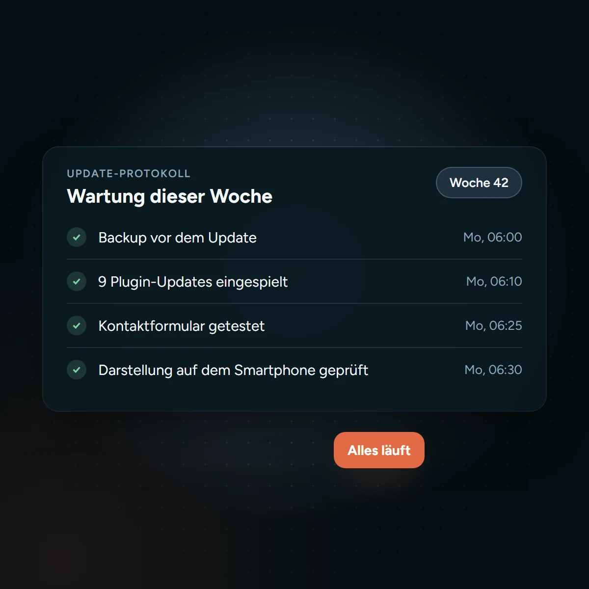 Update-Protokoll mit Backup, Plugin-Updates und Funktionstests